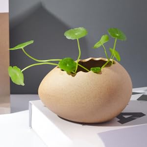 手描き花模様卵型花瓶 61MPpVrKMNL._UF350,350_QL50_.jpg