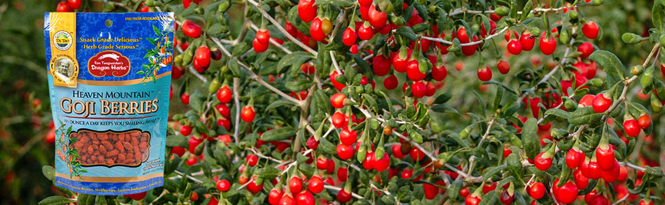 goji heaven moutian berries dried fruit nartual organic vegan fruit good body wellness immortal 
