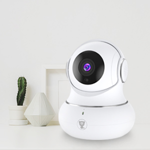 Security Camera