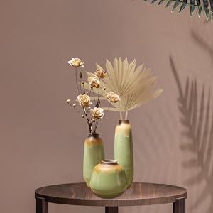 棕櫚の葉 Amazon｜棕櫚竹(シュロチク) 中鉢(8号)｜観葉植物 オンライン通販