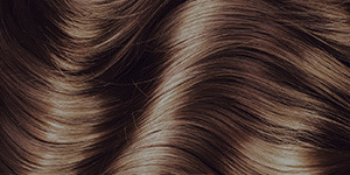 Amazon Com Truss Deluxe Prime Chestnut Cool Brown Hair Toner