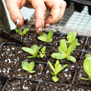 Small manufacture image 4