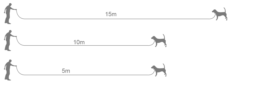 Taglory 10M Correa Adiestramiento Perro, Cuerda Nylon Correa Larga Perro para Perros Pequeños, Correa de Adiestramiento para Perros con Asa, Naranja