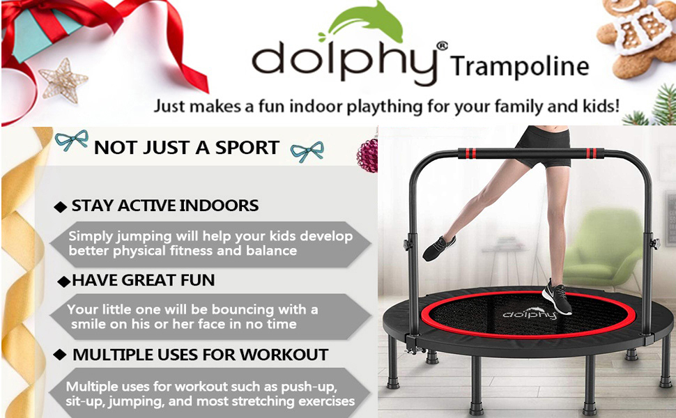 Dolphy Trampoline with Adjustable Handrail for kids indoor outdoor adults Exercise fitness