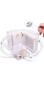 ANT FARM