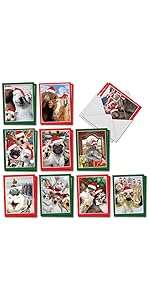 reindeer deers festive colorful kids children parents santas dogs cats horses animals farm