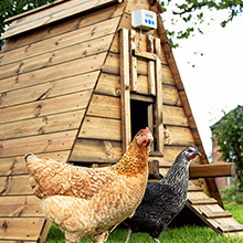 Electric coop door