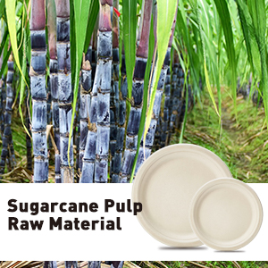 100% Sugarcane and Cornstarch Fiber