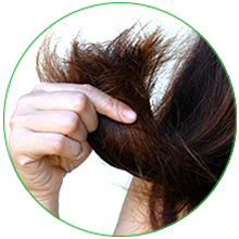 DRY OR DAMAGED HAIR