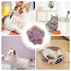 10pcs Paw Shaped Cat Snack Kittens Foods Treat Cat Oral Cleaning Snacks Cats Treat Selection Cats Grass Sticks For Indoor 5g 17 Effective Digestion