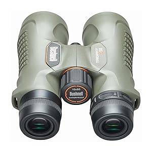 Rear view of Bushnell Trophy Xtreme Binoculars