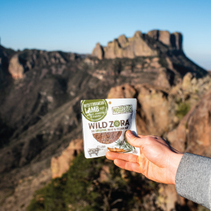 Wild Zora "an epic adventure"