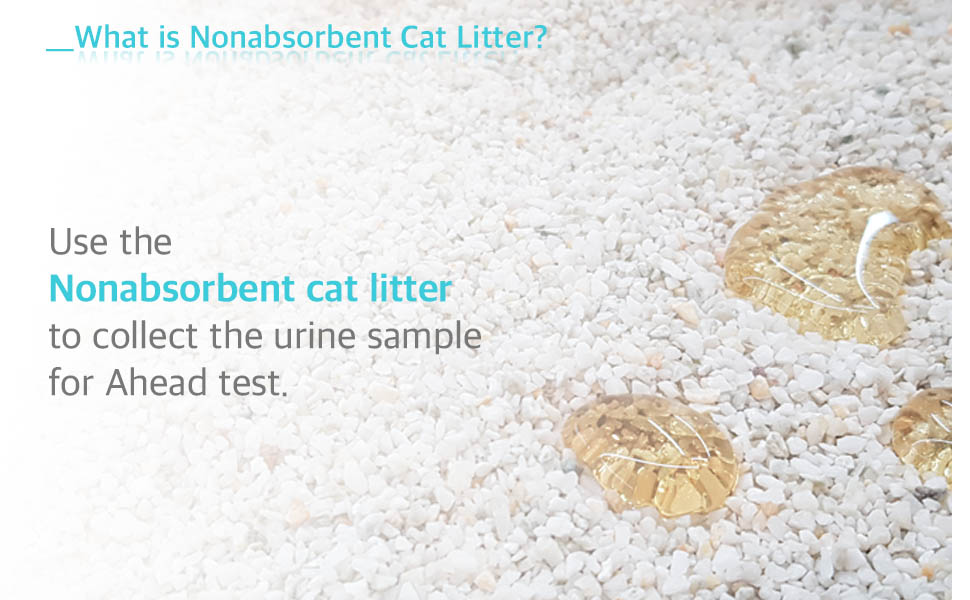 FitpetAhead Nonabsorbent Cat LitterSpecial NonAbsorbing