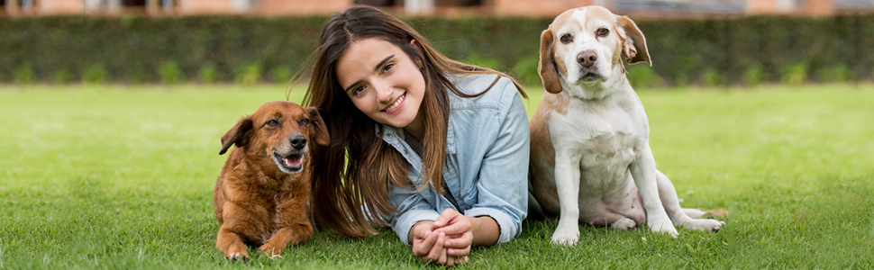 COSTWAY Recinto Per Cani Da Interno Ed Esterno, Recinzione Per Animali Domestici Con 8 Pannelli Di Metallo, Box Per Cani, Gatti E Conigli, 80 X 100 Cm 20 1