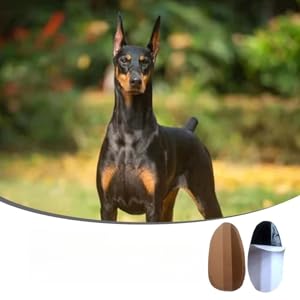 minkissy 1 Pair Puppy Adhesive Tape Stickers, Dog Ear Fixed Holder, Dog Ear Correction Accessory, Dog Ear Stretching Tool, Dog Ear Stretching Tool Kit 22 12 unidades