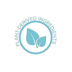 exfoliating facial scrub facial scrub Eva Naturals 