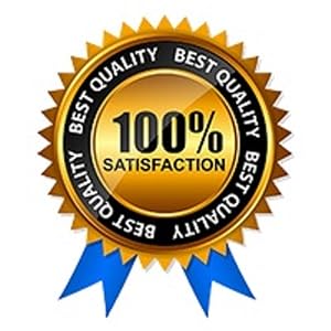 3Keys Dog Collar Brass chain gold choke collar 3 Keys Solutions 3Keys 3 Keys Amazon dogs cats best