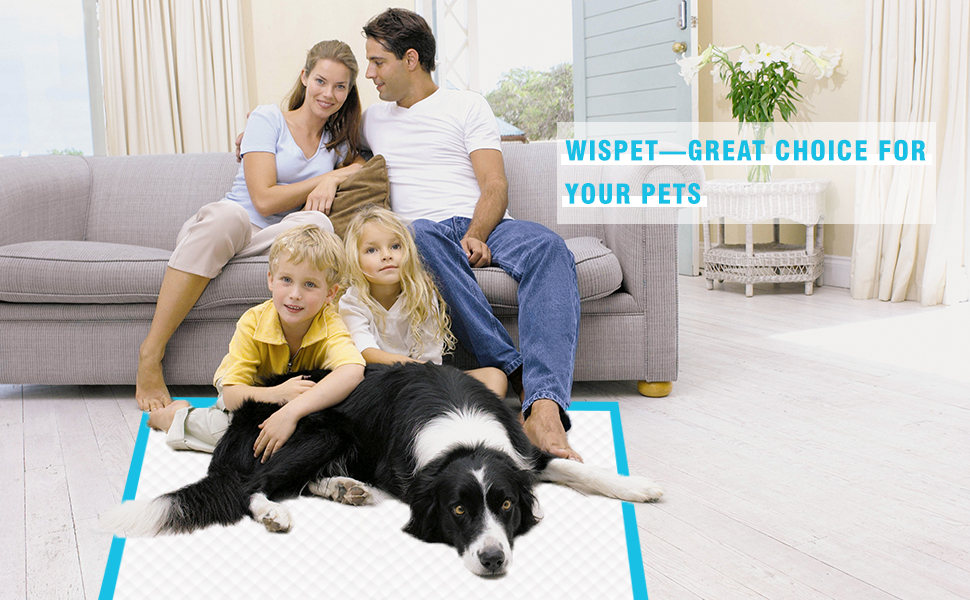 WISPET Extra Large Dog Pee Pads and Puppy Training Pads 28