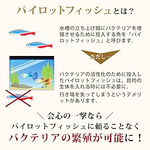 Amazon バクテリア活性剤 会心の一撃 水槽 熱帯魚 めだか 金魚 O O 水質テスト 管理用品 通販 Amazon バクテリア活性剤 会心の一撃 水槽 熱帯魚 めだか 金魚 O O 水質テスト 管理用品 通販