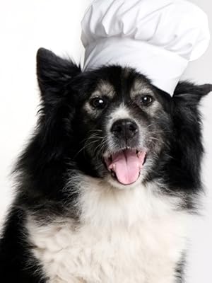 Zahnpflege Hund