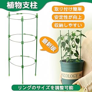 リンドナー　バラ付き　柄違い葉形ディッシュ3客セット箱付き　未使用です リンドナー バラ付き 柄違い葉形ディッシュ3客セット箱付き 未