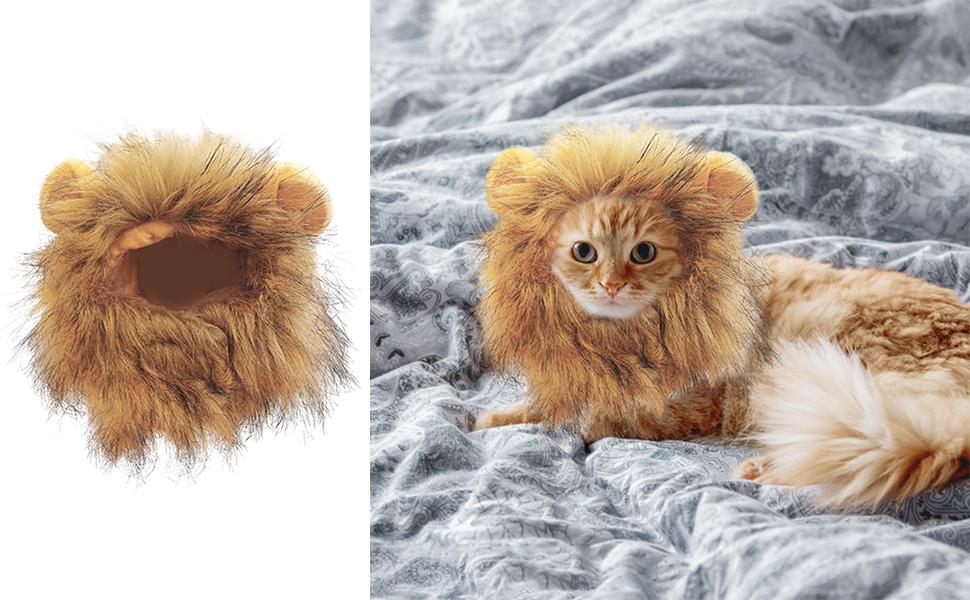 Amazon | 猫のライオンのたてがみ - 猫用コスチュームライオンの太い毛