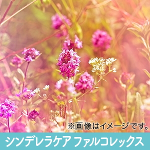 Amazon 洗顔石鹸 固形 抗菌 無添加 美白 ニキビ 毛穴 シミ 乾燥肌 東京和花 すっぴんエバーせっけん 東京和花 洗顔せっけん 通販