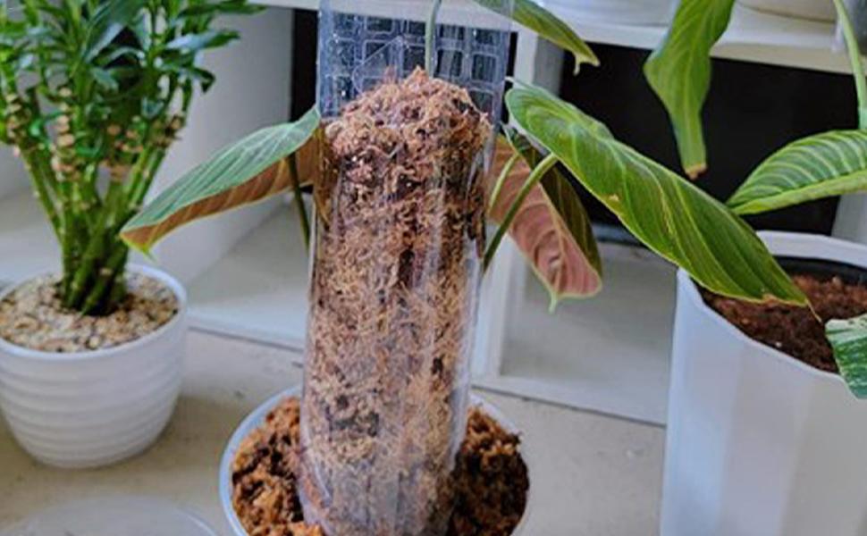 Amazon.co.jp: 4パック モスポール - 植物用ステーク | 植物