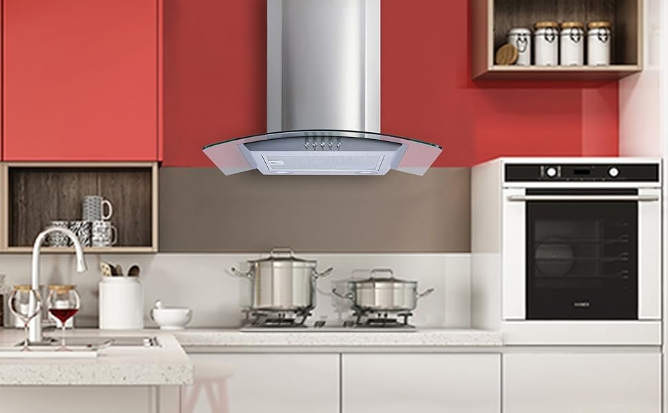 Winflo 30 In. Convertible Stainless Steel/Glass Wall Mount