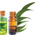 tea tree oil mouthwash,eucalyptus oil mouthwash,best herbal mouthwash