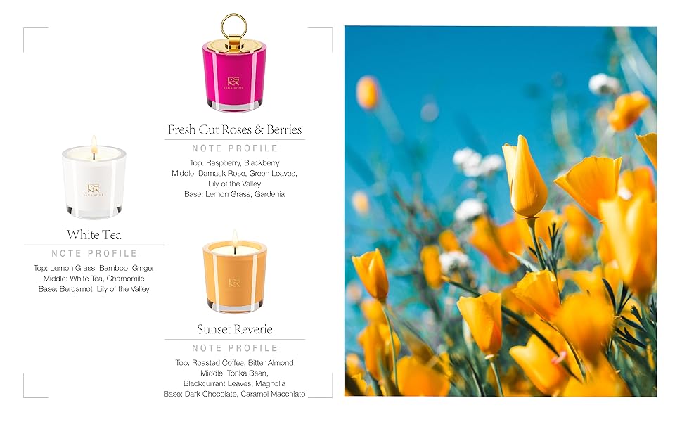 Stress Relief Meditation Candles Gifts for her, Gold Lid White Tea Soy Candles