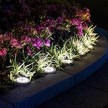 garden lights