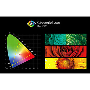 True Color . Professional Color Calibration