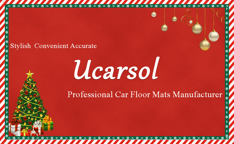 FLOOR MATS