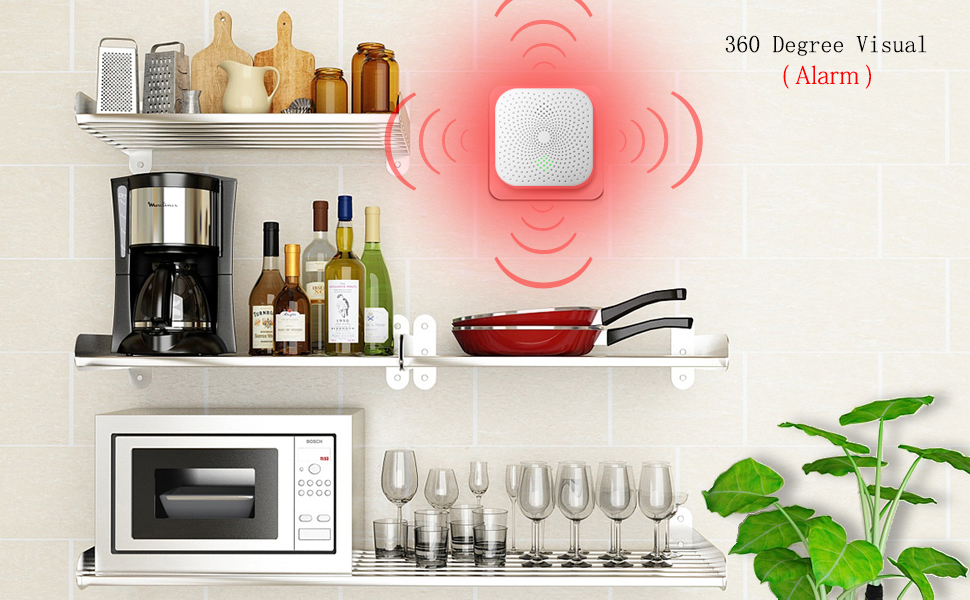 360 Degree Visual (Alarm)