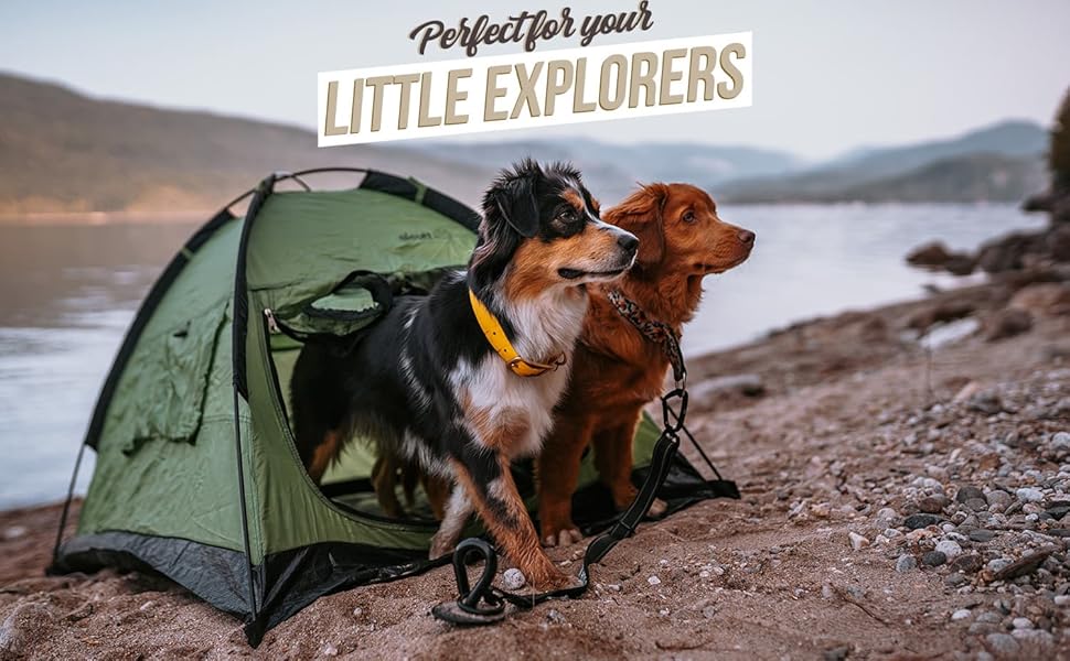 Saker dog stake Clearance