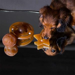 dachshund toy, chihuahua toy, bichon toy, poodle toy, boston terrier toy