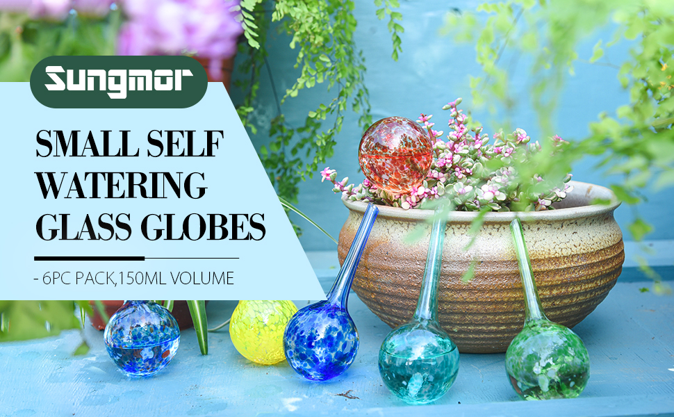 Sungmor Glass Watering Globes 6PC PACK, SMALL, 6 x 15CM, 150ML VOLUME