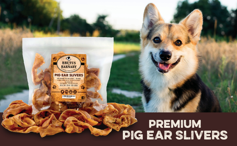 BRUTUS & BARNABY Pig Ear Slivers Thick Cut, All Natural
