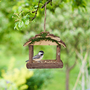 Vogelhäuschen