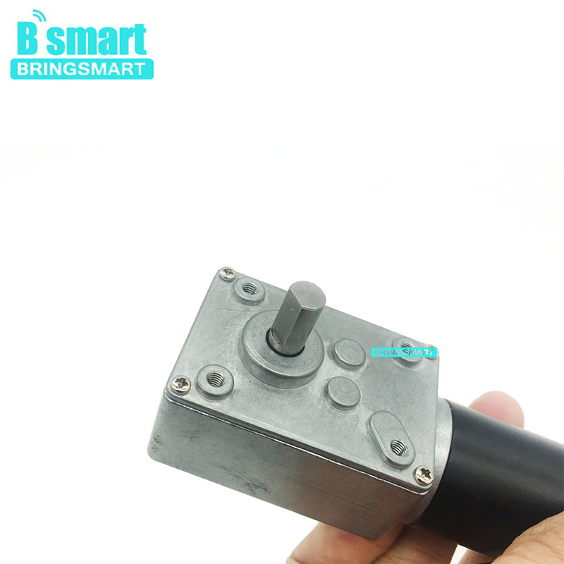 BRINGSMART 12V 12rpm DC Worm Gear Motor High Torque Self-Locking Turbine