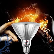 Classic Style LED PAR38 Flood Light Bulbs