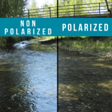 Polarization Comparison