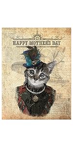 cats pets girls pink baby boy adorable cute present giftbox kitten