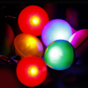 dog light up collar tag