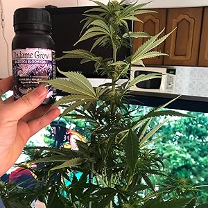 Small manufacture image 2