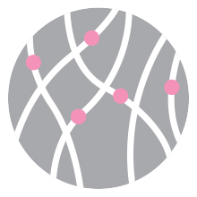 Life-flo Hydrolyzed Bovine Collagen Grass Fed Supports Vibrant Skin Hair Bone Joint Health 12.7oz