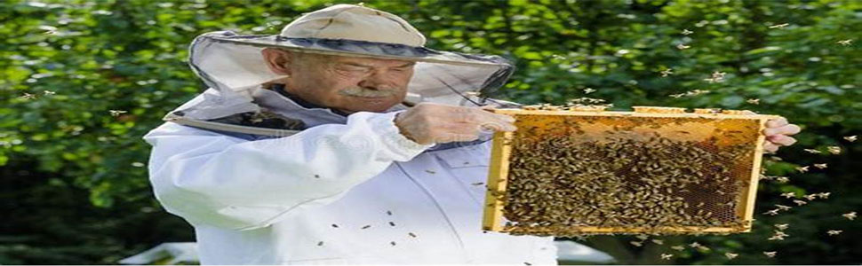 beekeeping hat