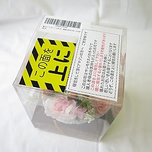 クリアケース入り