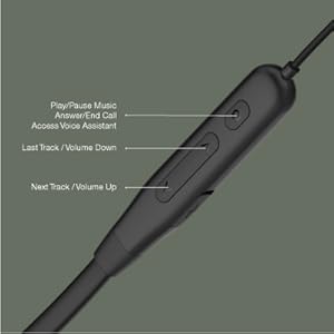 Remote Controls & Mic